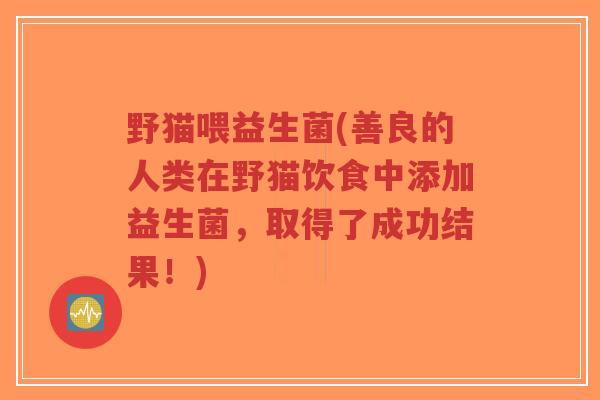 野猫喂益生菌(善良的人类在野猫饮食中添加益生菌,取得了成功结果!)-第1张图片-超越 野猫喂益生菌(善良的人类在野猫饮食中添加益生菌,取得了成功结果!)-第1张图片-超越