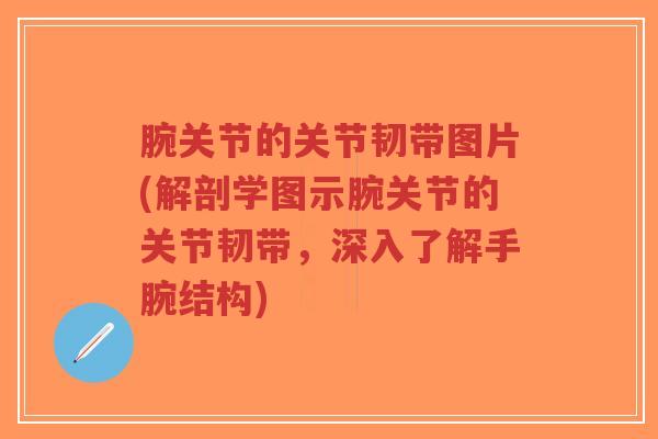 腕关节的关节韧带图片(解剖学图示腕关节的关节韧带,深入了解手腕结构)-第1张图片-超越 腕关节的关节韧带图片(解剖学图示腕关节的关节韧带,深入了解手腕结构)-第1张图片-超越