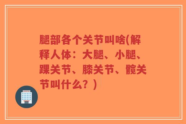 腿部各个关节叫啥(解释人体:大腿、小腿、踝关节、膝关节、髋关节叫什么?)-第1张图片-超越 腿部各个关节叫啥(解释人体:大腿、小腿、踝关节、膝关节、髋关节叫什么?)-第1张图片-超越