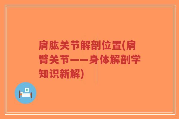 肩肱关节解剖位置(肩臂关节——身体解剖学知识新解)-第1张图片-超越 肩肱关节解剖位置(肩臂关节——身体解剖学知识新解)-第1张图片-超越