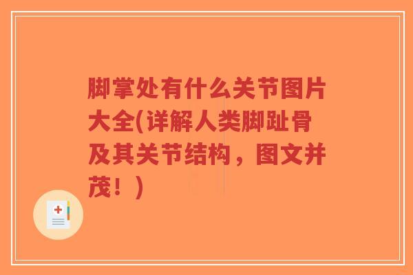 脚掌处有什么关节图片大全(详解人类脚趾骨及其关节结构,图文并茂!)-第1张图片-超越 脚掌处有什么关节图片大全(详解人类脚趾骨及其关节结构,图文并茂!)-第1张图片-超越