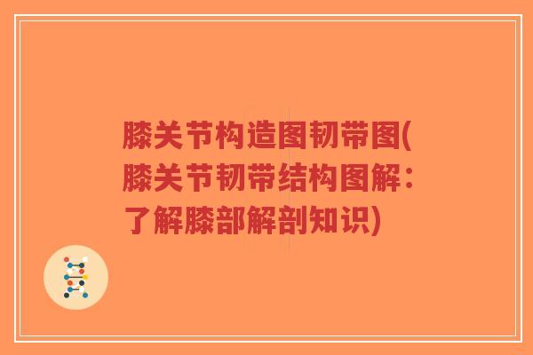 膝关节构造图韧带图(膝关节韧带结构图解:了解膝部解剖知识)-第1张图片-超越 膝关节构造图韧带图(膝关节韧带结构图解:了解膝部解剖知识)-第1张图片-超越