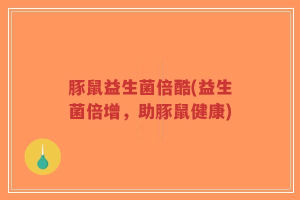 豚鼠益生菌倍酷(益生菌倍增，助豚鼠健康)-第1张图片-超越