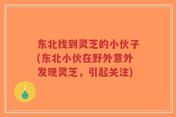 东北找到灵芝的小伙子(东北小伙在野外意外发现灵芝,引起关注)-第1张图片-超越 东北找到灵芝的小伙子(东北小伙在野外意外发现灵芝,引起关注)-第1张图片-超越