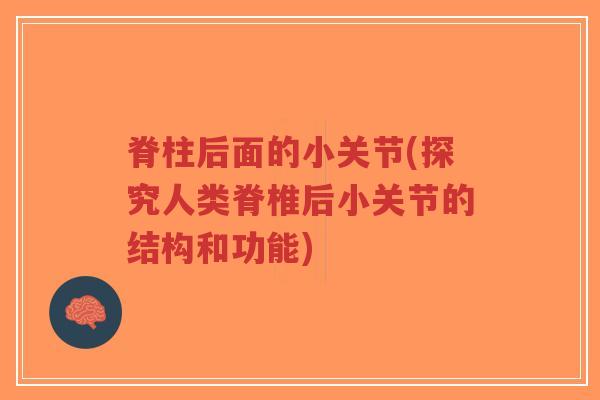 脊柱后面的小关节(探究人类脊椎后小关节的结构和功能)-第1张图片-超越 脊柱后面的小关节(探究人类脊椎后小关节的结构和功能)-第1张图片-超越
