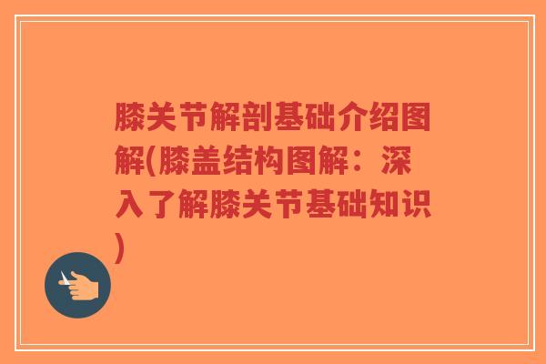膝关节解剖基础介绍图解(膝盖结构图解:深入了解膝关节基础知识)-第1张图片-超越 膝关节解剖基础介绍图解(膝盖结构图解:深入了解膝关节基础知识)-第1张图片-超越