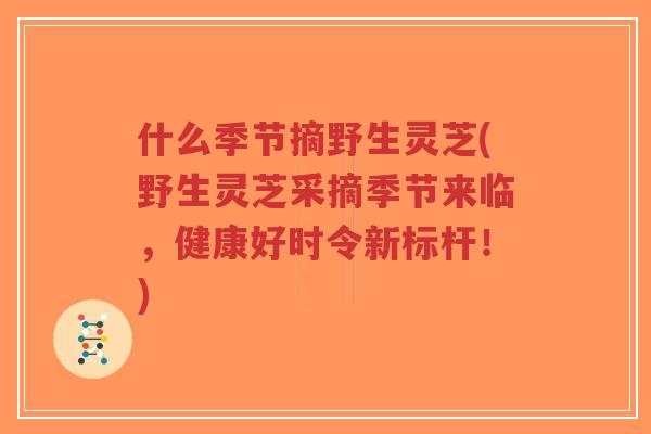什么季节摘野生灵芝(野生灵芝采摘季节来临,健康好时令新标杆!)-第1张图片-超越 什么季节摘野生灵芝(野生灵芝采摘季节来临,健康好时令新标杆!)-第1张图片-超越