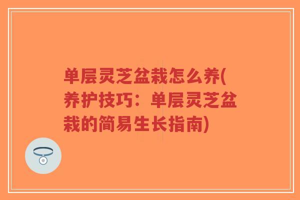单层灵芝盆栽怎么养(养护技巧:单层灵芝盆栽的简易生长指南)-第1张图片-超越 单层灵芝盆栽怎么养(养护技巧:单层灵芝盆栽的简易生长指南)-第1张图片-超越