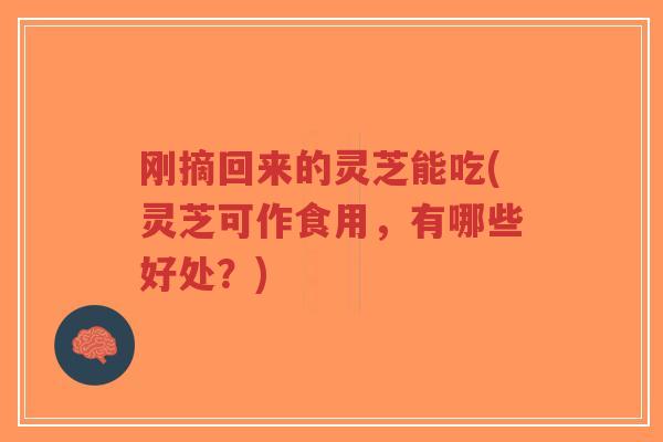 刚摘回来的灵芝能吃(灵芝可作食用,有哪些好处?)-第1张图片-超越 刚摘回来的灵芝能吃(灵芝可作食用,有哪些好处?)-第1张图片-超越
