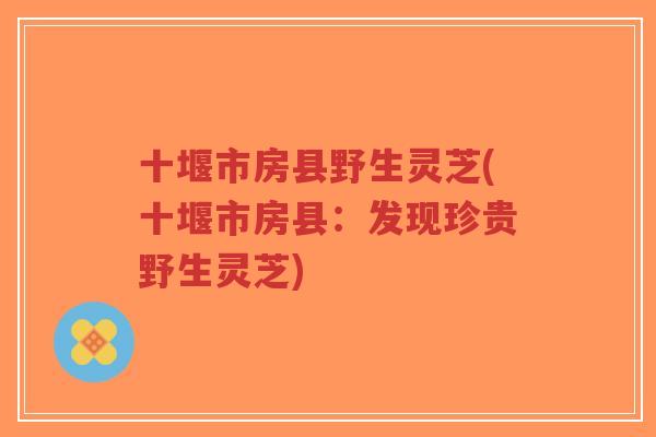 十堰市房县野生灵芝(十堰市房县:发现珍贵野生灵芝)-第1张图片-超越 十堰市房县野生灵芝(十堰市房县:发现珍贵野生灵芝)-第1张图片-超越