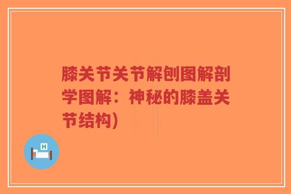 膝关节关节解刨图解剖学图解:神秘的膝盖关节结构)-第1张图片-超越 膝关节关节解刨图解剖学图解:神秘的膝盖关节结构)-第1张图片-超越