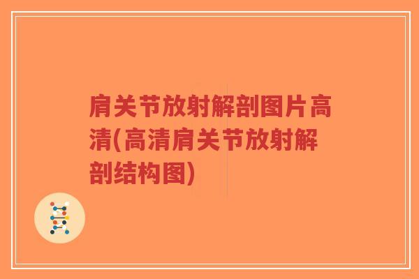 肩关节放射解剖图片高清(高清肩关节放射解剖结构图)-第1张图片-超越 肩关节放射解剖图片高清(高清肩关节放射解剖结构图)-第1张图片-超越