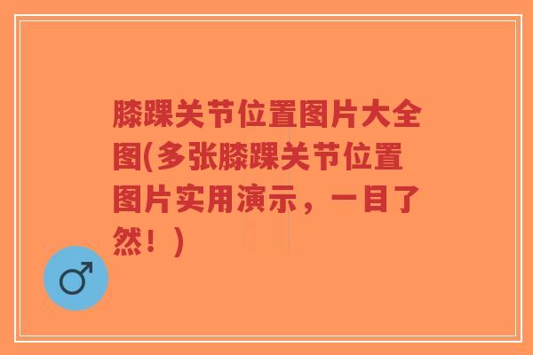 膝踝关节位置图片大全图(多张膝踝关节位置图片实用演示,一目了然!)-第1张图片-超越 膝踝关节位置图片大全图(多张膝踝关节位置图片实用演示,一目了然!)-第1张图片-超越
