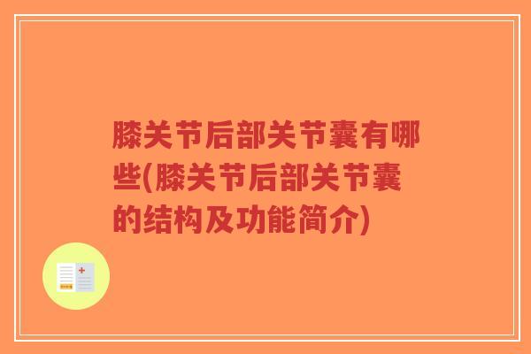膝关节后部关节囊有哪些(膝关节后部关节囊的结构及功能简介)-第1张图片-超越 膝关节后部关节囊有哪些(膝关节后部关节囊的结构及功能简介)-第1张图片-超越