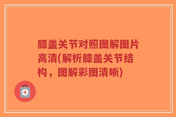 膝盖关节对照图解图片高清(解析膝盖关节结构,图解彩图清晰)-第1张图片-超越 膝盖关节对照图解图片高清(解析膝盖关节结构,图解彩图清晰)-第1张图片-超越