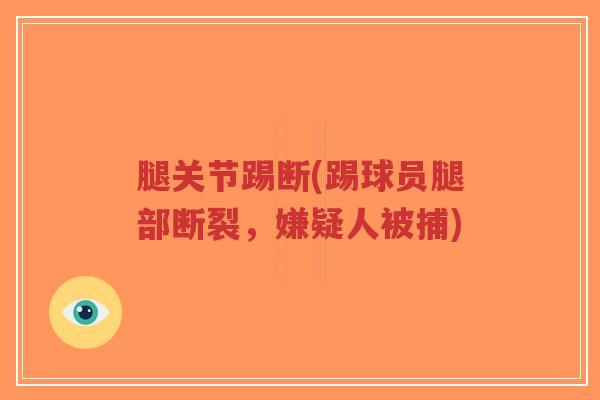 腿关节踢断(踢球员腿部断裂,嫌疑人被捕)-第1张图片-超越 腿关节踢断(踢球员腿部断裂,嫌疑人被捕)-第1张图片-超越
