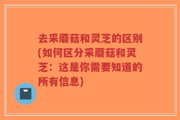 去采蘑菇和灵芝的区别(如何区分采蘑菇和灵芝:这是你需要知道的所有信息)-第1张图片-超越 去采蘑菇和灵芝的区别(如何区分采蘑菇和灵芝:这是你需要知道的所有信息)-第1张图片-超越