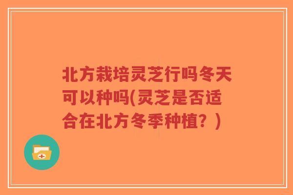 北方栽培灵芝行吗冬天可以种吗(灵芝是否适合在北方冬季种植?)-第1张图片-超越 北方栽培灵芝行吗冬天可以种吗(灵芝是否适合在北方冬季种植?)-第1张图片-超越
