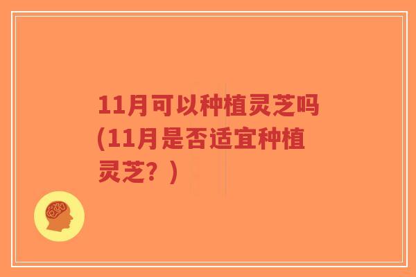 11月可以种植灵芝吗(11月是否适宜种植灵芝?)-第1张图片-超越 11月可以种植灵芝吗(11月是否适宜种植灵芝?)-第1张图片-超越