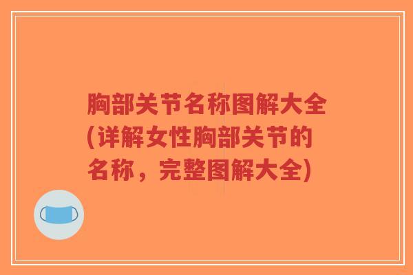 胸部关节名称图解大全(详解女性胸部关节的名称，完整图解大全)-第1张图片-超越