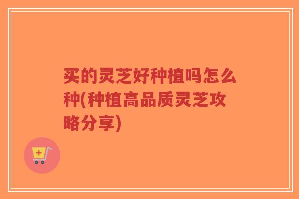 买的灵芝好种植吗怎么种(种植高品质灵芝攻略分享)-第1张图片-超越