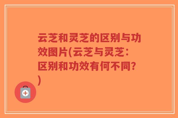 云芝和灵芝的区别与功效图片(云芝与灵芝:区别和功效有何不同?)-第1张图片-超越 云芝和灵芝的区别与功效图片(云芝与灵芝:区别和功效有何不同?)-第1张图片-超越