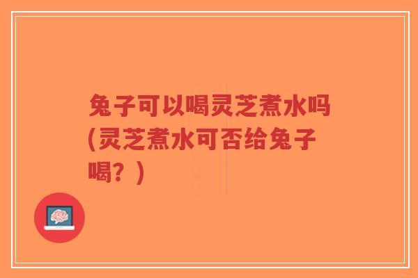 兔子可以喝灵芝煮水吗(灵芝煮水可否给兔子喝?)-第1张图片-超越 兔子可以喝灵芝煮水吗(灵芝煮水可否给兔子喝?)-第1张图片-超越