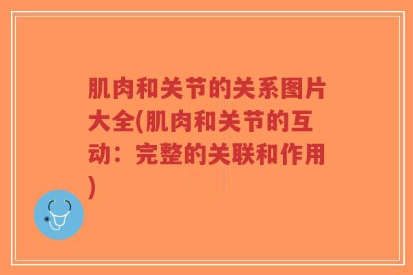 肌肉和关节的关系图片大全(肌肉和关节的互动:完整的关联和作用)-第1张图片-超越 肌肉和关节的关系图片大全(肌肉和关节的互动:完整的关联和作用)-第1张图片-超越