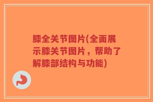 膝全关节图片(全面展示膝关节图片,帮助了解膝部结构与功能)-第1张图片-超越 膝全关节图片(全面展示膝关节图片,帮助了解膝部结构与功能)-第1张图片-超越