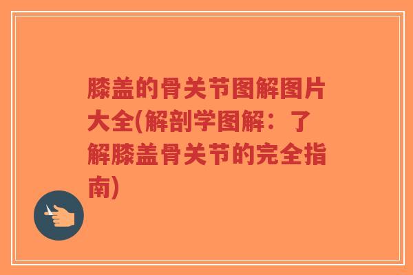 膝盖的骨关节图解图片大全(解剖学图解:了解膝盖骨关节的完全指南)-第1张图片-超越 膝盖的骨关节图解图片大全(解剖学图解:了解膝盖骨关节的完全指南)-第1张图片-超越