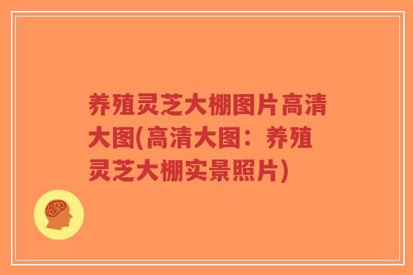 养殖灵芝大棚图片高清大图(高清大图:养殖灵芝大棚实景照片)-第1张图片-超越 养殖灵芝大棚图片高清大图(高清大图:养殖灵芝大棚实景照片)-第1张图片-超越