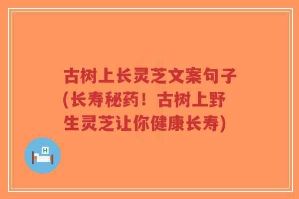 古树上长灵芝文案句子(长寿秘药！古树上野生灵芝让你健康长寿)-第1张图片-超越