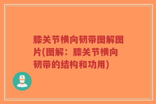 膝关节横向韧带图解图片(图解:膝关节横向韧带的结构和功用)-第1张图片-超越 膝关节横向韧带图解图片(图解:膝关节横向韧带的结构和功用)-第1张图片-超越