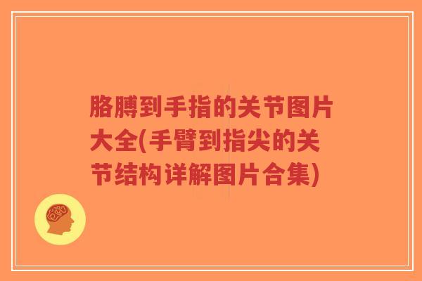 胳膊到手指的关节图片大全(手臂到指尖的关节结构详解图片合集)-第1张图片-超越 胳膊到手指的关节图片大全(手臂到指尖的关节结构详解图片合集)-第1张图片-超越