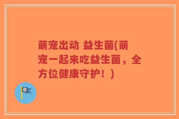 萌宠出动 益生菌(萌宠一起来吃益生菌,全方位健康守护!)-第1张图片-超越 萌宠出动 益生菌(萌宠一起来吃益生菌,全方位健康守护!)-第1张图片-超越
