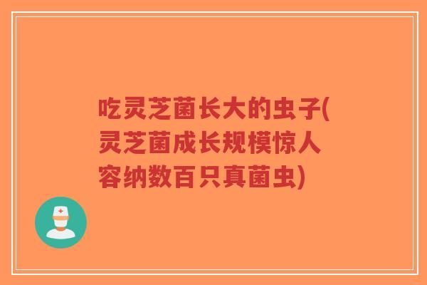 吃灵芝菌长大的虫子(灵芝菌成长规模惊人 容纳数百只真菌虫)-第1张图片-超越 吃灵芝菌长大的虫子(灵芝菌成长规模惊人 容纳数百只真菌虫)-第1张图片-超越