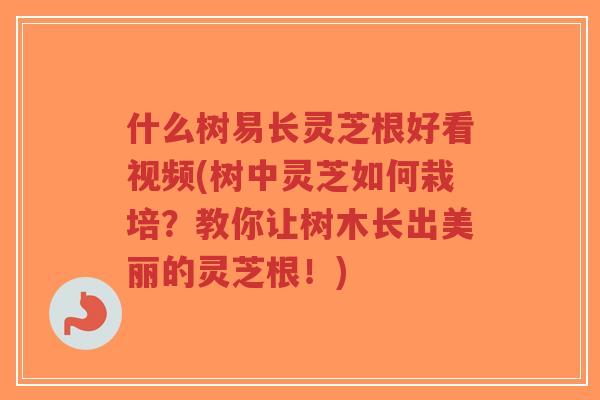 什么树易长灵芝根好看视频(树中灵芝如何栽培?教你让树木长出美丽的灵芝根!)-第1张图片-超越 什么树易长灵芝根好看视频(树中灵芝如何栽培?教你让树木长出美丽的灵芝根!)-第1张图片-超越