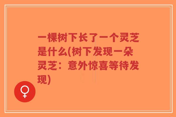 一棵树下长了一个灵芝是什么(树下发现一朵灵芝:意外惊喜等待发现)-第1张图片-超越 一棵树下长了一个灵芝是什么(树下发现一朵灵芝:意外惊喜等待发现)-第1张图片-超越