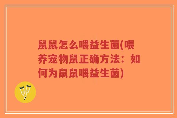 鼠鼠怎么喂益生菌(喂养宠物鼠正确方法：如何为鼠鼠喂益生菌)-第1张图片-超越
