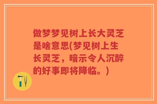 做梦梦见树上长大灵芝是啥意思(梦见树上生长灵芝，暗示令人沉醉的好事即将降临。)-第1张图片-超越