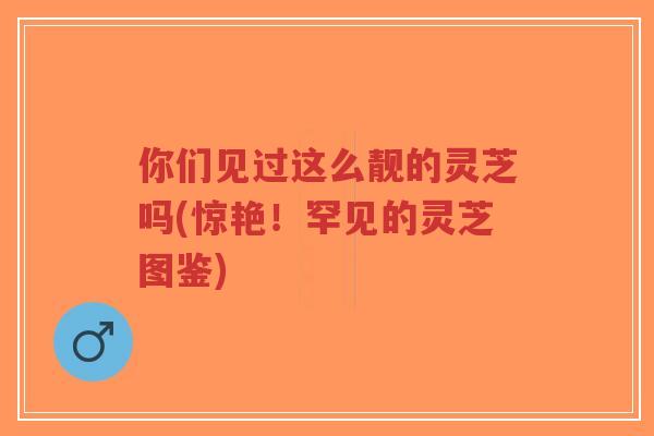 你们见过这么靓的灵芝吗(惊艳!罕见的灵芝图鉴)-第1张图片-超越 你们见过这么靓的灵芝吗(惊艳!罕见的灵芝图鉴)-第1张图片-超越