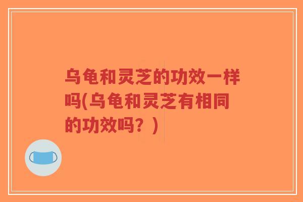 乌龟和灵芝的功效一样吗(乌龟和灵芝有相同的功效吗？)-第1张图片-超越