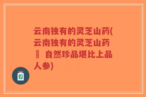 云南独有的灵芝山药(云南独有的灵芝山药 – 自然珍品堪比上品人参)-第1张图片-超越 云南独有的灵芝山药(云南独有的灵芝山药 – 自然珍品堪比上品人参)-第1张图片-超越