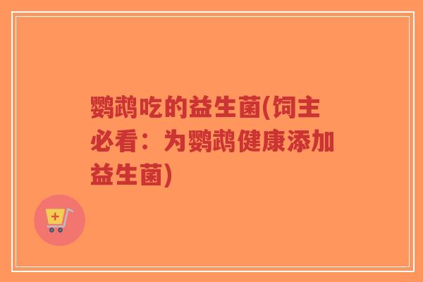 鹦鹉吃的益生菌(饲主必看:为鹦鹉健康添加益生菌)-第1张图片-超越 鹦鹉吃的益生菌(饲主必看:为鹦鹉健康添加益生菌)-第1张图片-超越
