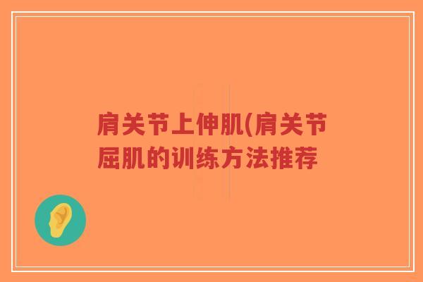 肩关节上伸肌(肩关节屈肌的训练方法推荐-第1张图片-超越 肩关节上伸肌(肩关节屈肌的训练方法推荐-第1张图片-超越