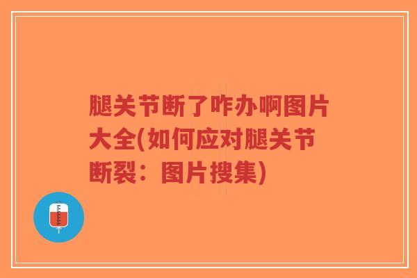 腿关节断了咋办啊图片大全(如何应对腿关节断裂:图片搜集)-第1张图片-超越 腿关节断了咋办啊图片大全(如何应对腿关节断裂:图片搜集)-第1张图片-超越