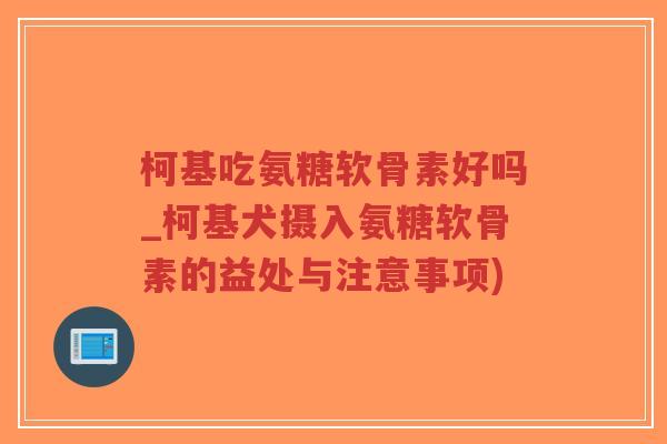 柯基吃氨糖软骨素好吗_柯基犬摄入氨糖软骨素的益处与注意事项)-第1张图片-超越 柯基吃氨糖软骨素好吗_柯基犬摄入氨糖软骨素的益处与注意事项)-第1张图片-超越
