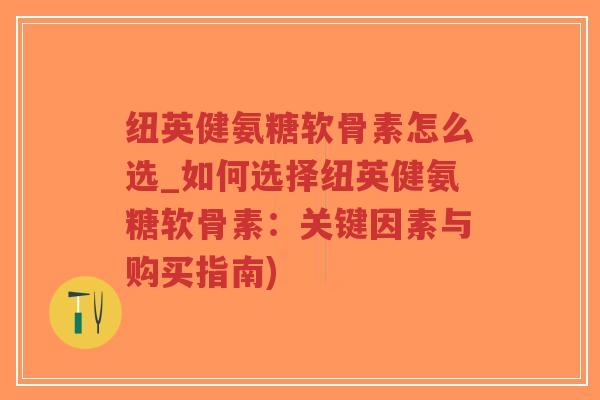 纽英健氨糖软骨素怎么选_如何选择纽英健氨糖软骨素：关键因素与购买指南)-第1张图片-超越
