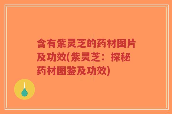 含有紫灵芝的药材图片及功效(紫灵芝:探秘药材图鉴及功效)-第1张图片-超越 含有紫灵芝的药材图片及功效(紫灵芝:探秘药材图鉴及功效)-第1张图片-超越
