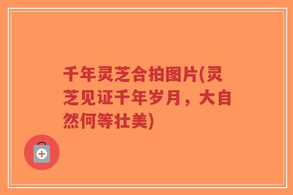 千年灵芝合拍图片(灵芝见证千年岁月,大自然何等壮美)-第1张图片-超越 千年灵芝合拍图片(灵芝见证千年岁月,大自然何等壮美)-第1张图片-超越